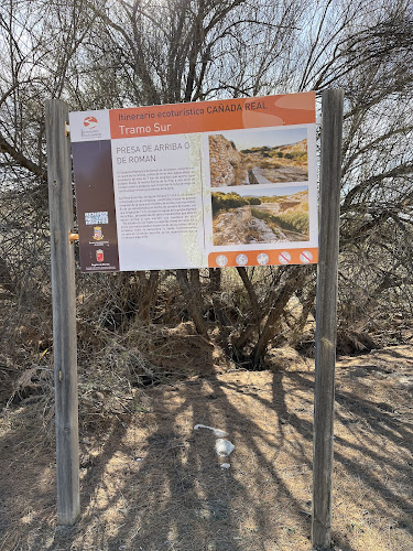 Presa de Román