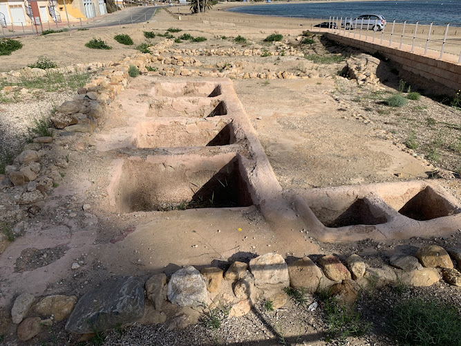 Yacimiento Arqueológico de la Villa Romana del Alamillo