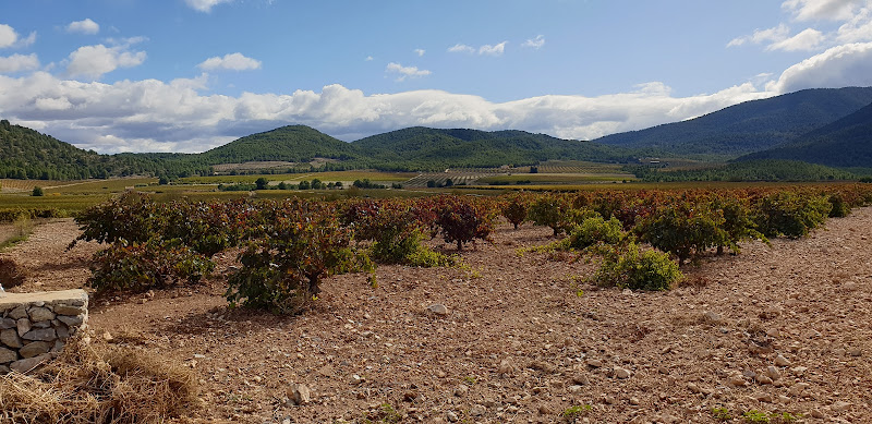 Bodega Balcona