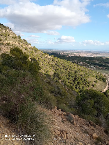 Senda del Búho