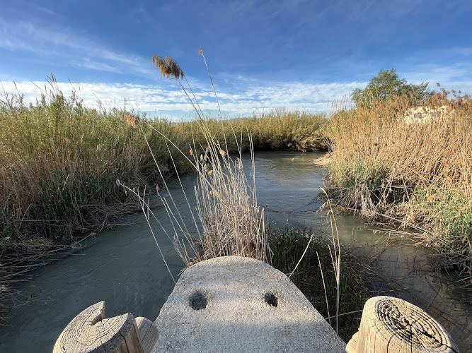 Desembocadura del río Mula en el río Segura