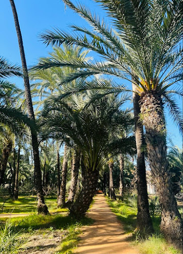 El Palmeral