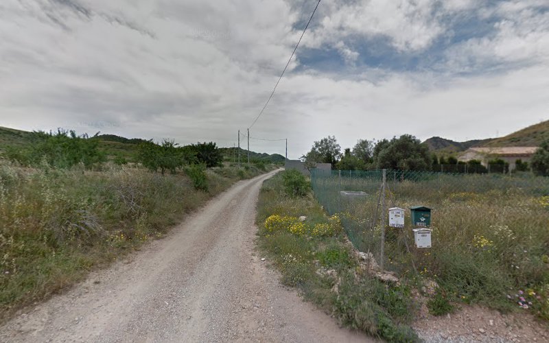 Virgen la Pilarica