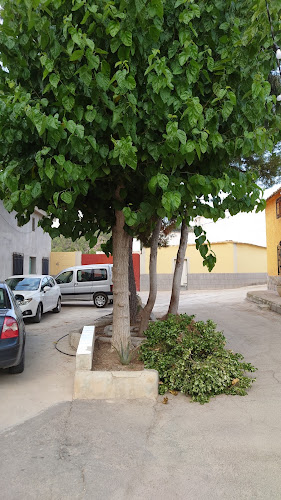 Jardín