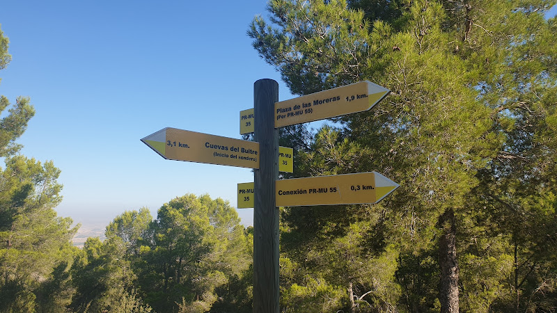 Camino Cuevas del Buitre