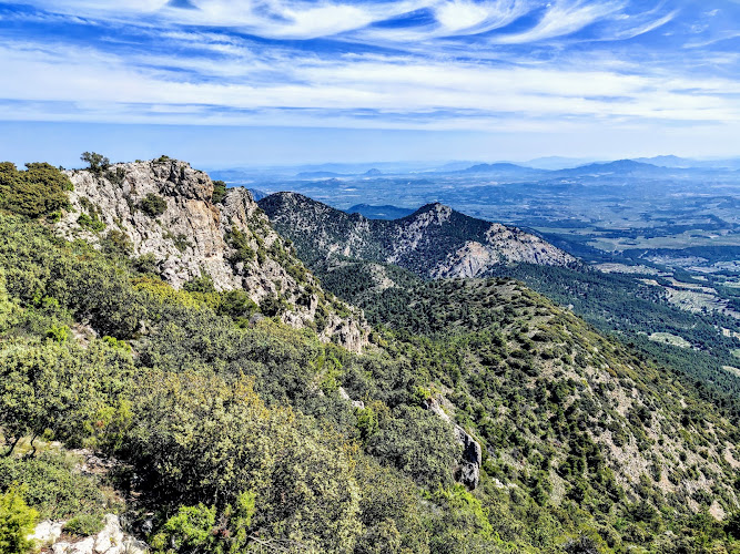 Cerro de La Selva