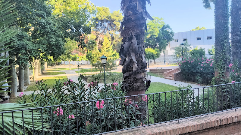 Parque Viudes