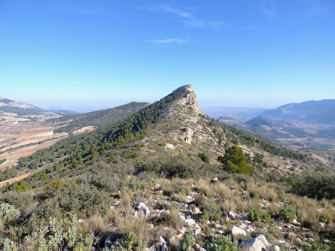 Cabezo de la Cruz