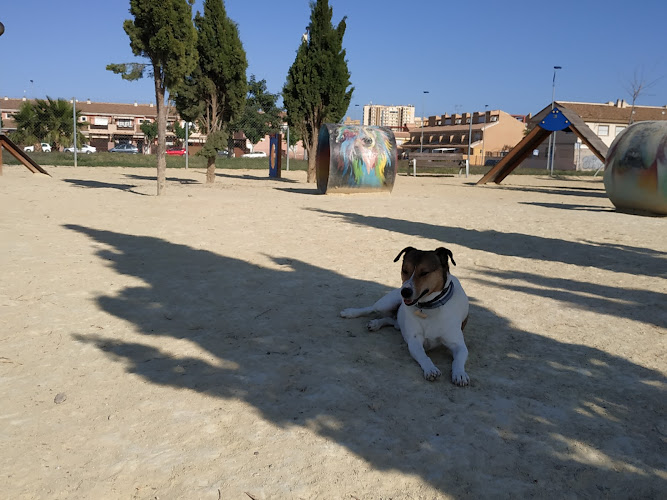 Parque Canino