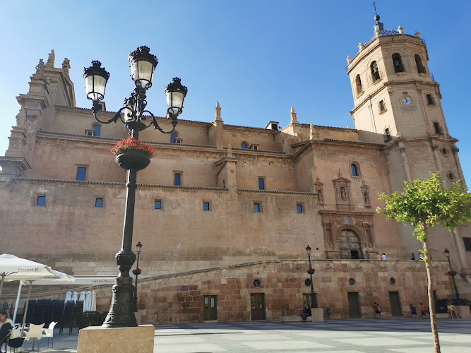Colegiata de San Patricio