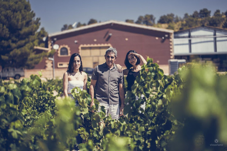Viñedos y Bodegas Xenysel