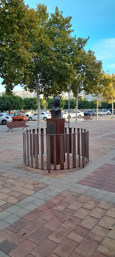 Bulevar Manuel Carceles "El Patiñero"