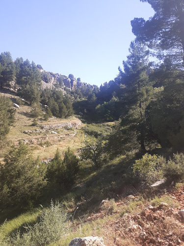 Las Cañadicas del Calar