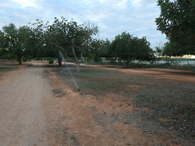 Parque Infantil de los Exploradores de la Región de Murcia