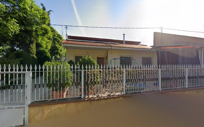 Palmerero jardinero