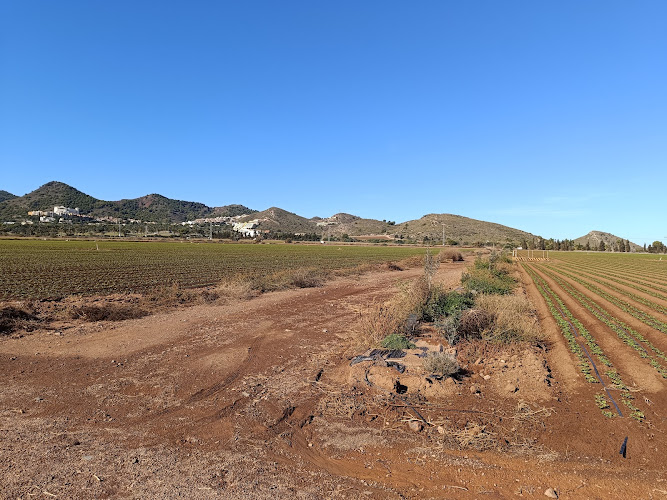 Sendero. Ruta mountain bike a La Manga Club y Batería de las Cenizas.