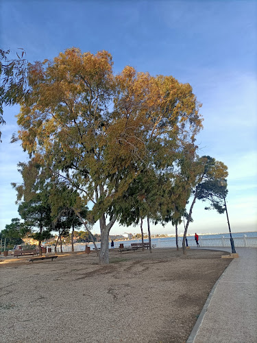 Playa de Palo