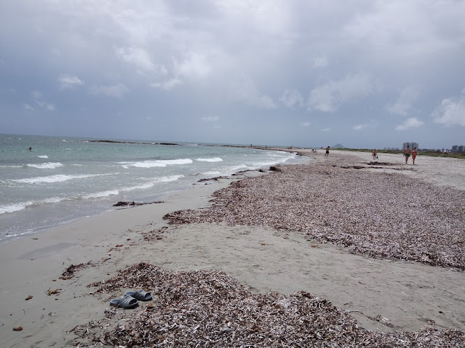 Punta de las Algas