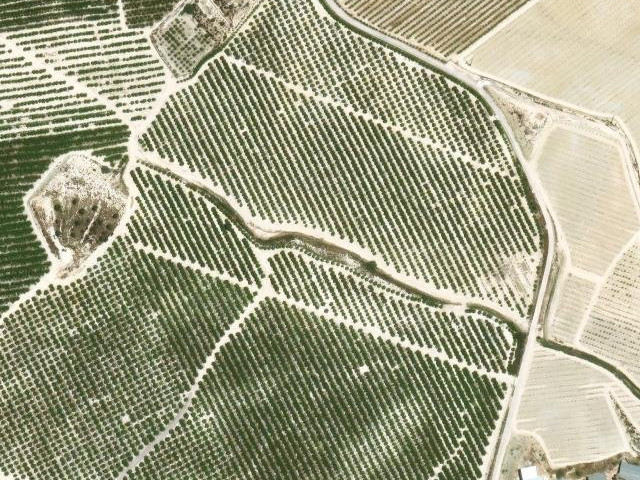 Cañada de Ricote