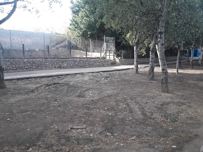 parque de calistenia