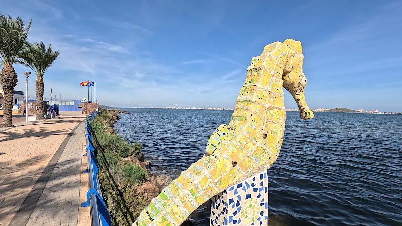 caballito de mar
