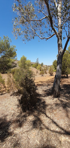 Parque de los pinos