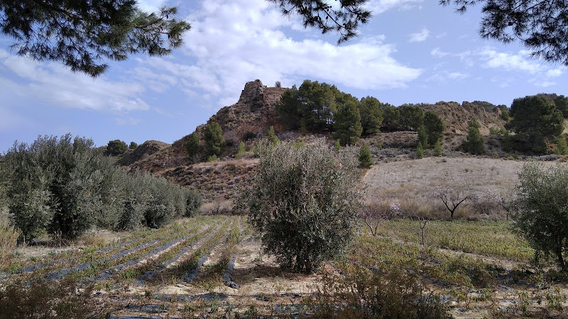 Castillo de Aguaderas