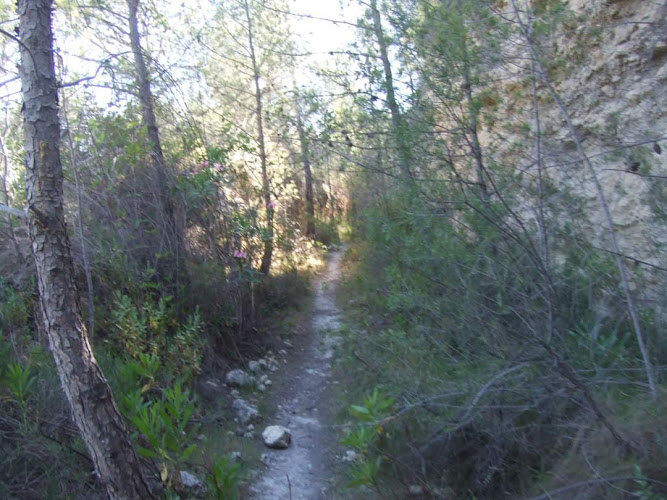 Senda del Berro