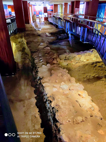 Factoría Romana de Salazones