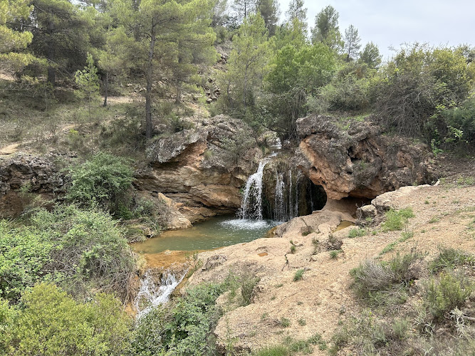 Sifón de burete