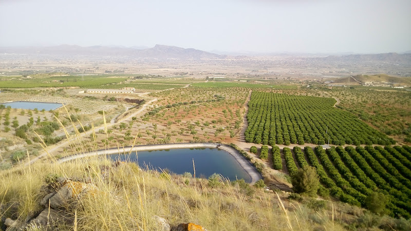 Rambla de la Boquera de Piñeros de la Mina