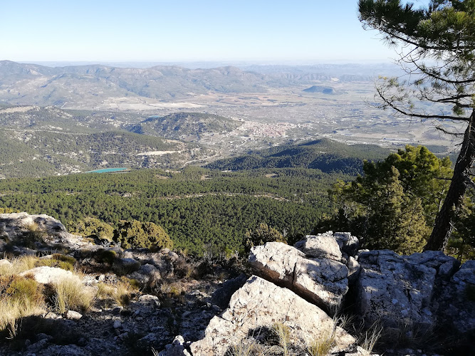 Mirador Pico del Buitre