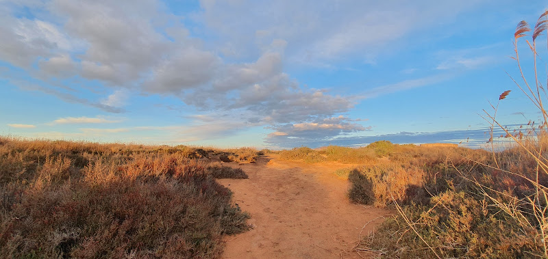 Paisaje Protegido de Espacios Abiertos e Islas del Mar Menor