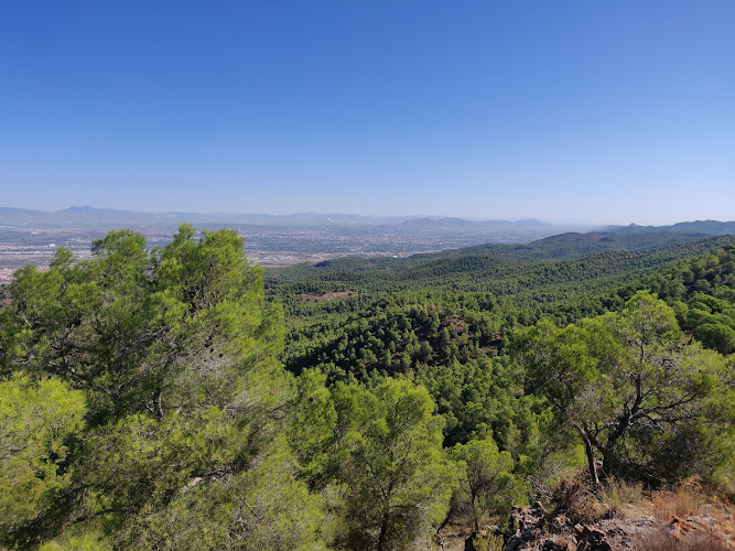 Pico del Águila
