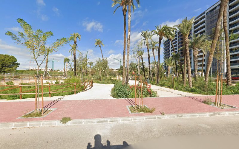 Palmeral Nuevo Santiago y Zaraiche