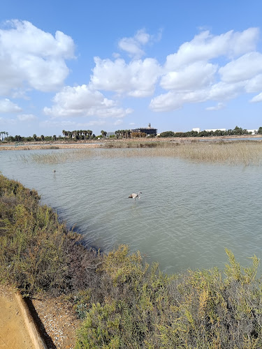 ZONA DE OBSERVACIÓN DE FLAMENCOS