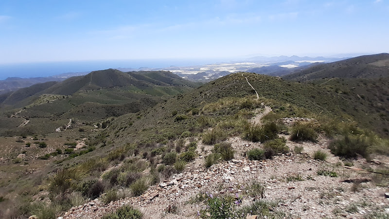 Pico Mayorales