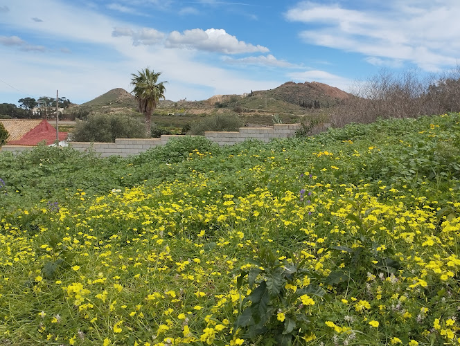 Mirador Campo de Cartagena