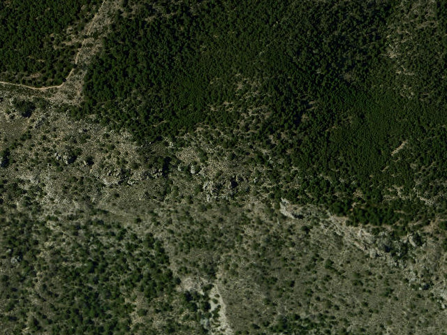Puntal de las Carrascas