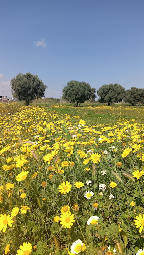 Praderas de San Pedro