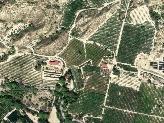El Parque