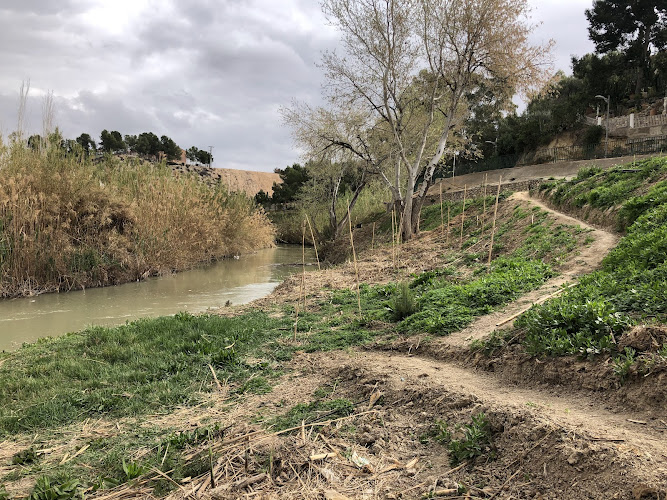 Playa fluvial "Las Peñetas"