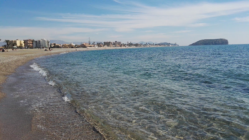 Playa para Perros