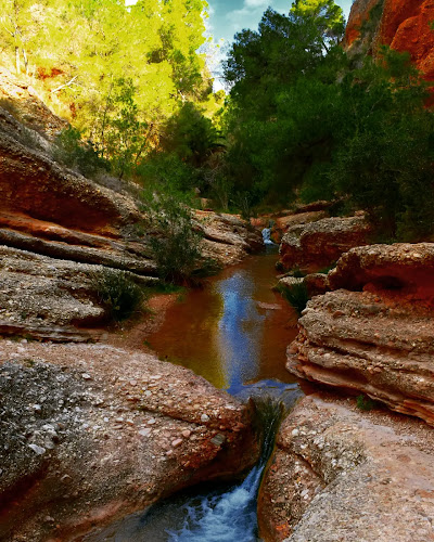 Ríos, Embalses y Humedales