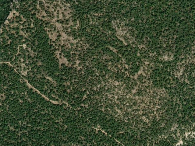 Cerro de los Conejos