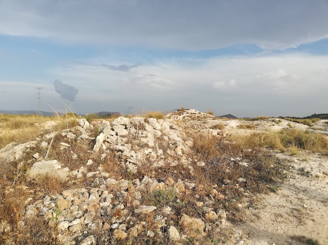 Yacimiento de Icnitas de la Hoya de la Sima