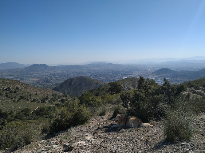 Sierra de la Magdalena