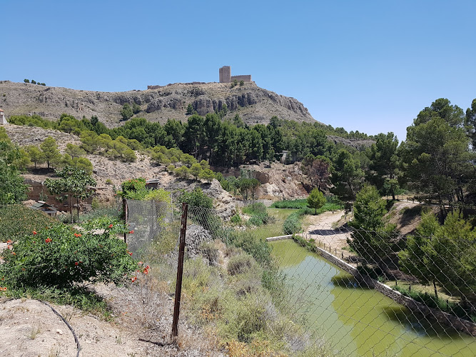 Charco del Zorro