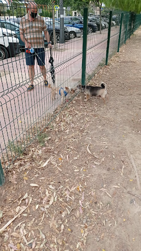 Zona ZECA - Parque Canino