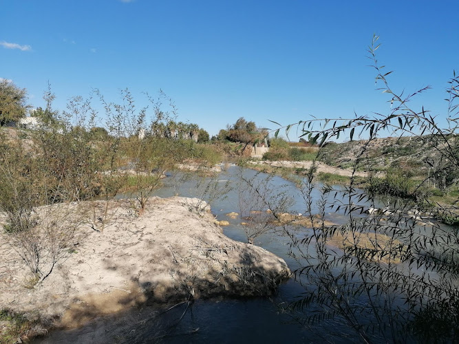 Paraje de La Isla